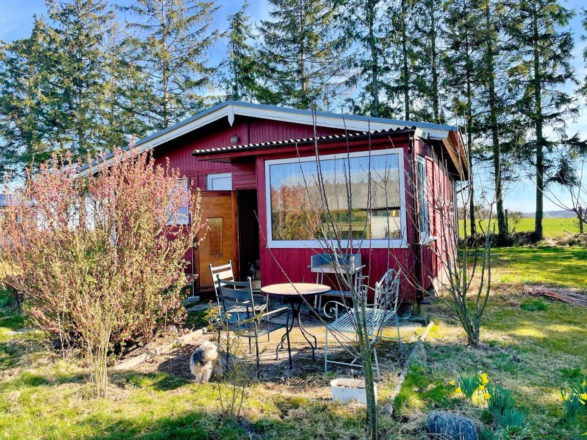 Landhaus Mit Pool, Bungalow In Der Natur Hohenbollentin Exterior photo
